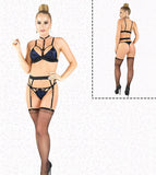 Two-piece lace lingerie with a long chiffon stocking