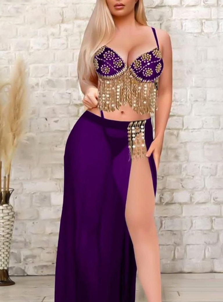 Chiffon belly dance suit with embroidery of beads and strings of shiny sequins